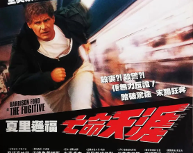 亡命天涯 The Fugitive (1993)【豆瓣8.1】[免费在线观看][免费下载][网盘资源][欧美影视]