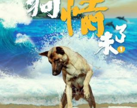 人狗情未了（2024）4K EDR 高码 内嵌简中[免费在线观看][免费下载][网盘资源][4K资源]